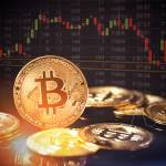Immediate Path Trading Platform Profile Picture