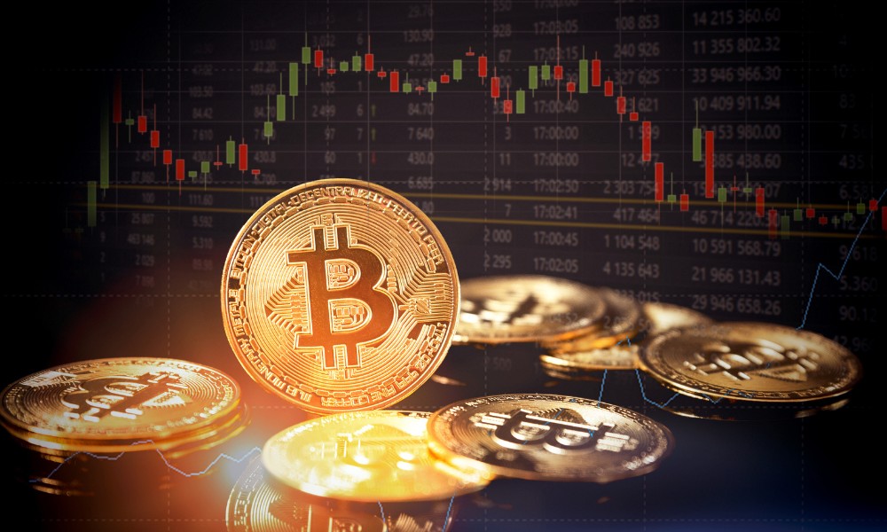Immediate Path Trading Platform Profile Picture