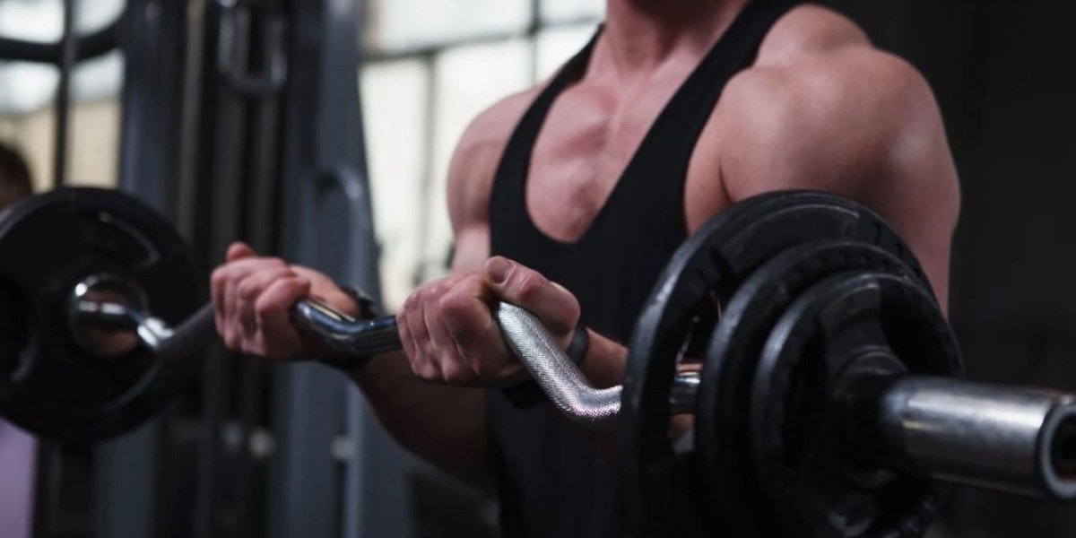 Find Trustworthy Sources for Steroids and Supplements